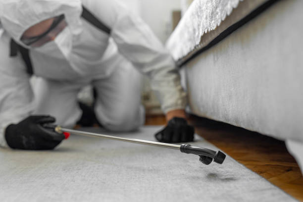 Professional Ant Control technician working in Circle D-KC Estates, TX